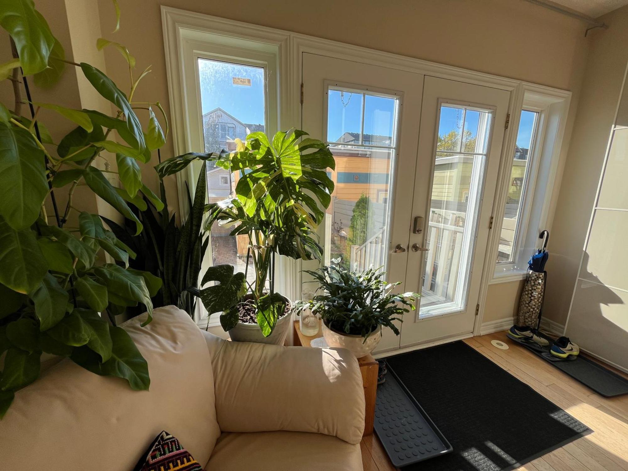 Stunning Rooms In Townhouse Across The Beach Toronto Exterior photo